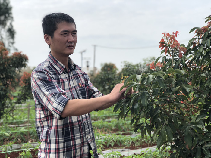 红荔村董事长_红荔村肠粉图片