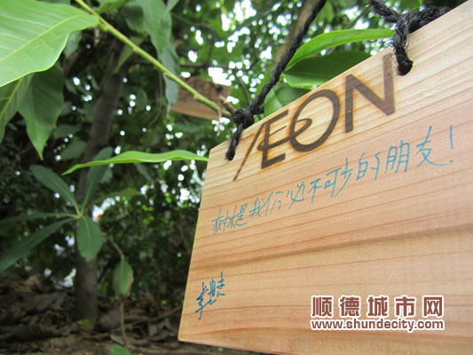 广东:爱护绿化从小培养 孩子与树木共成长