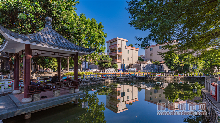 仙涌村持续优化水环境,扮靓美丽村居.顺德城市网摄影俱乐部"马彦良"摄