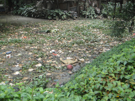 垃圾+污水，勒流一河涌染成“墨水涌”