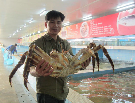 “佛山食材世界”让百姓买得安心，食得放心