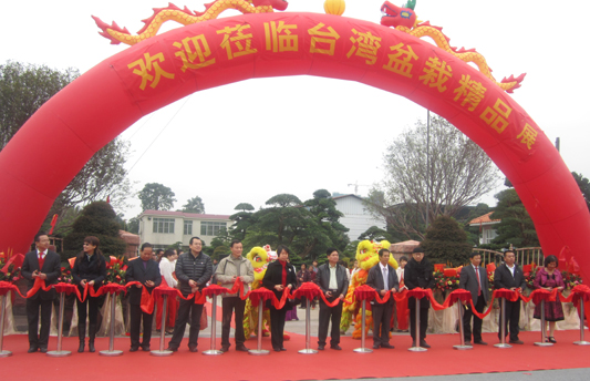 台湾盆栽展，200余精品让你大饱眼福