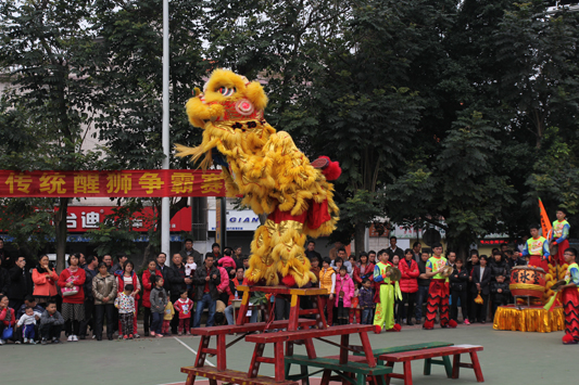 新年有好戏，9支醒狮队伍争霸陈村