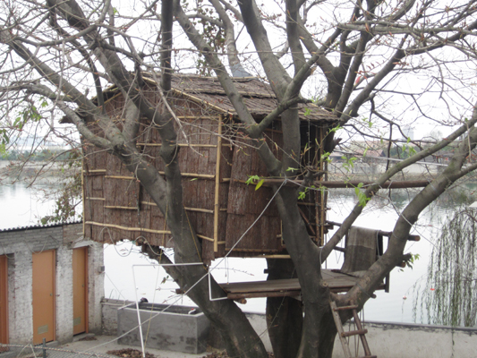 “Tree House”很浪漫？可能是个“稻草人”