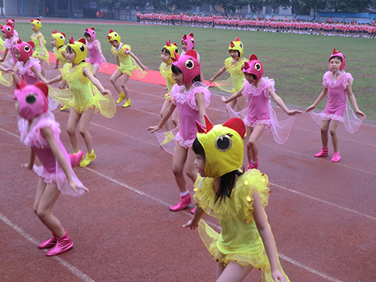 乐从红棉小学体艺节秀出学生才艺