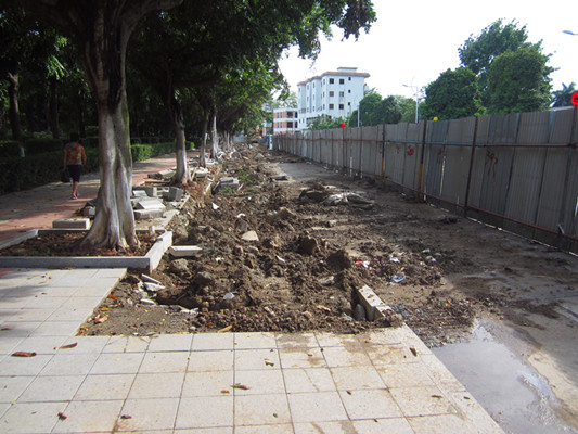 道路刚建又挖，试验段征求市民意见？