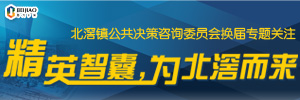 决策咨询，推动城市发展的另一双手臂