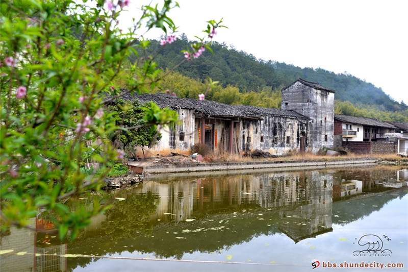 翁源桃花行之三围屋与田园