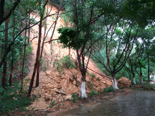 大暴雨夜袭，大良苏岗一山坡局部崩塌