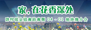 陈村镇金锠南路南侧 04-01 地块推介会