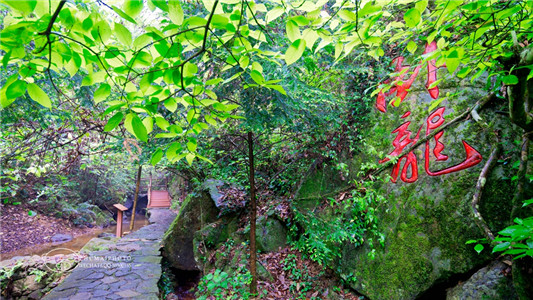 醉美路上，领略花海瀑布美景