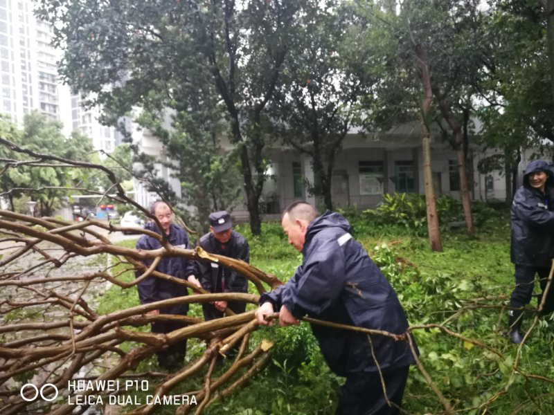 风雨同舟，台风天北滘医院与你为伴