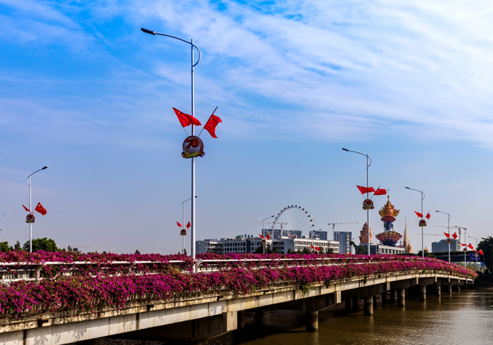 壹周美图：愿你一路繁花盛开，芳香自来