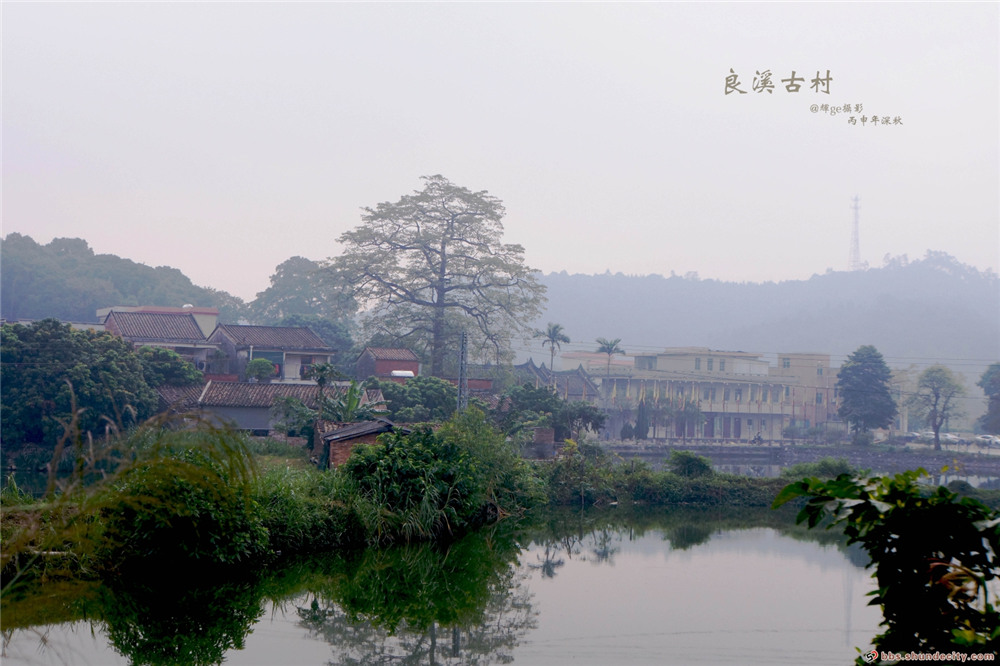 “唔使问阿贵”中的阿贵原来住这里！