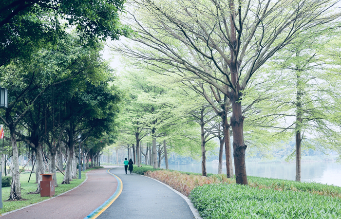 春雨沥沥，顺峰山公园变“小清新”