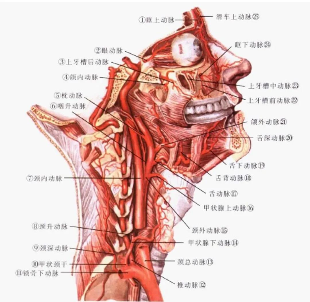 精准治疗颈椎骨折！龙江医院3D打印技术，牛！