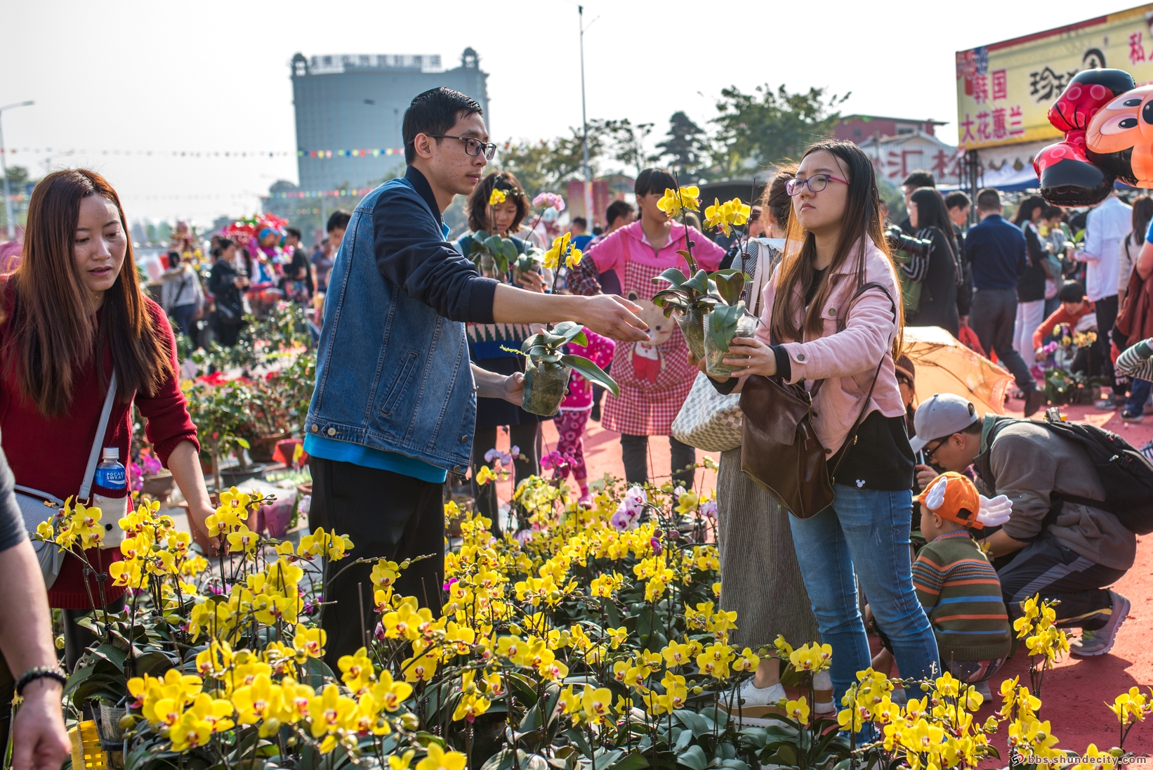 陈村花农｜从普通花农到一代花王，他奋斗了一辈子