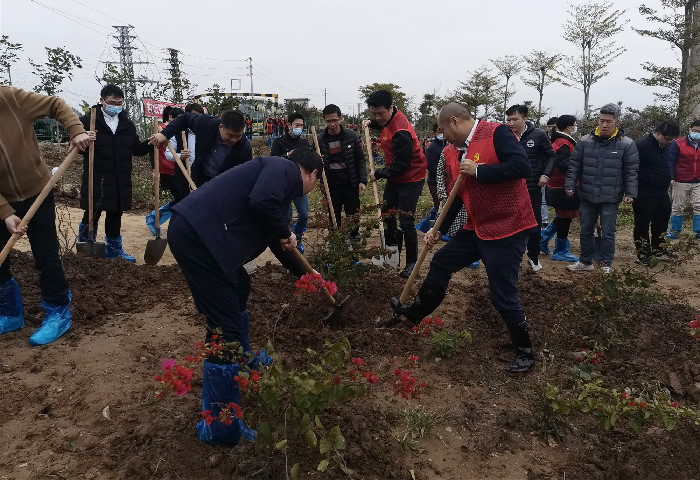 开春即冲刺，杏坛治水干劲十足