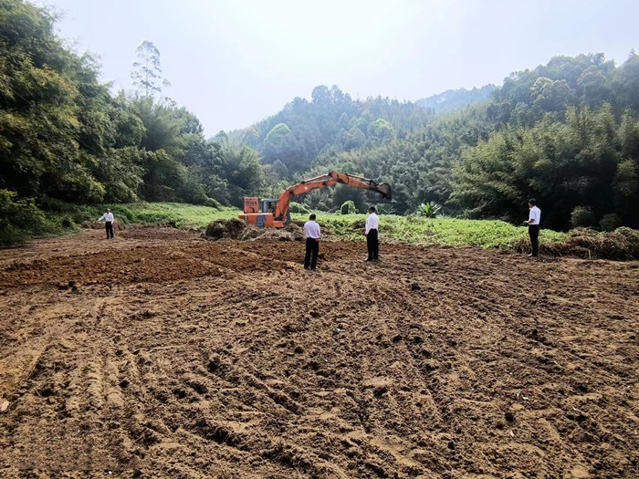 顺德帮扶工作组：狠抓撂荒地整治 持续助力乡村振兴