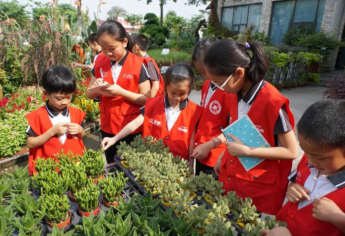 好消息，陈村两所小学荣获省级奖项