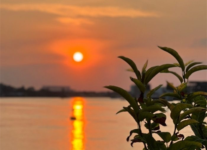 惊艳！在容桂岸边与夕阳来一场“双向奔赴”