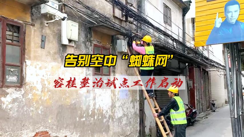 告别空中“蜘蛛网”，容桂整治试点工作启动！