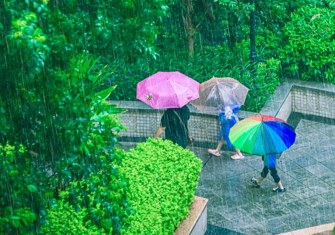 在顺德，你要写秋雨就不能只写秋雨