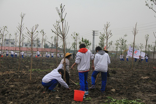 容桂职业技术学校给力植树节种1100棵树苗