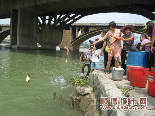 举村同乐，放生千斤鲤鱼