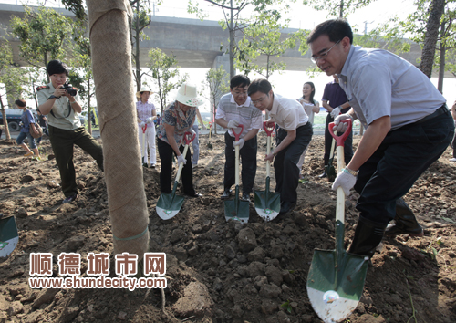 今日再添新绿：顺德也会是鲜花盛开的好地方