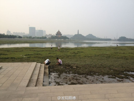 顺峰山公园的湖水哪去了？