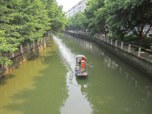 有奖举报，顺德主干河涌排污口年内完成整治