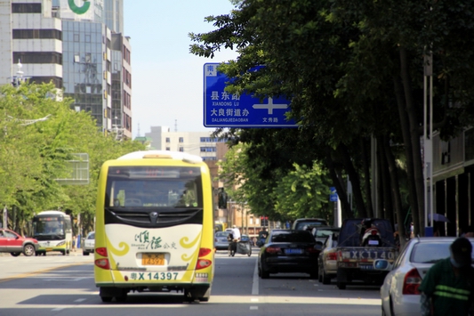 路牌被树枝遮挡，苦了不熟悉道路的司机