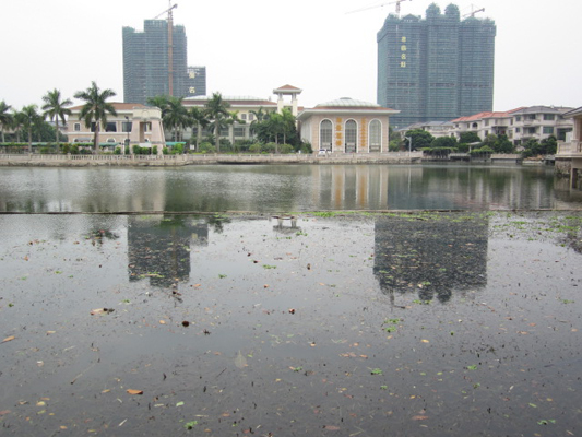 一湖两岸，别墅区和公园的河道直面战