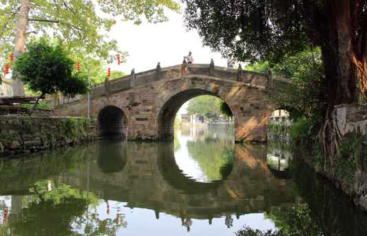 “红粉树阵”将亮相顺德华侨城湿地公园