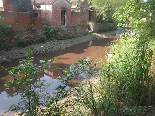 河涌变为“红河”，原来是猪场粪水泄漏