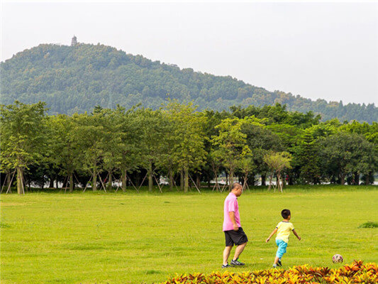 新栽秋枫增公厕，越来越爱顺峰山公园了