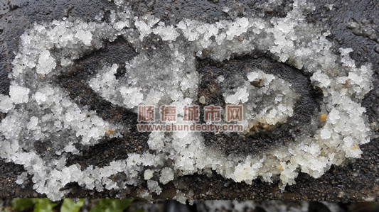 下雪啦！真下雪！近60年顺德气象台没见过