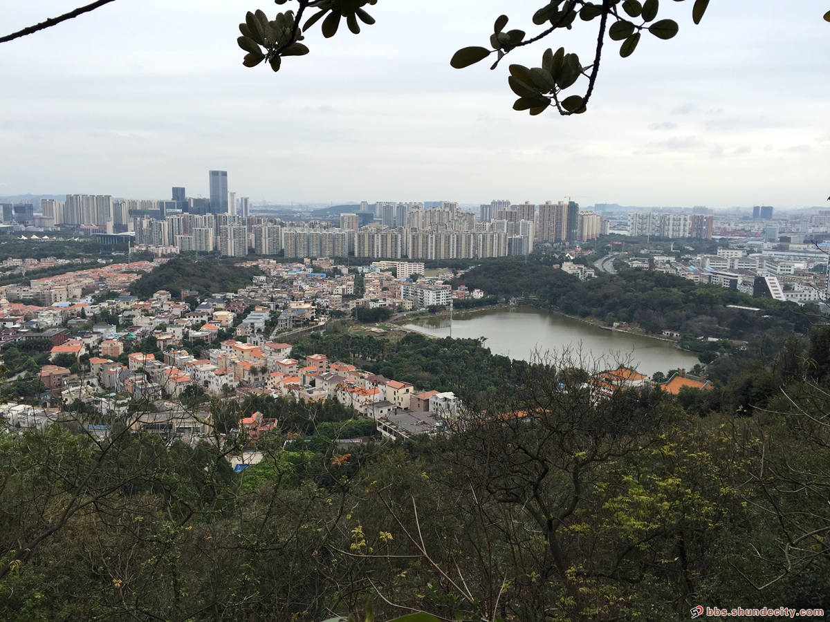 论坛美图：再登顺峰山，鸟瞰大良城