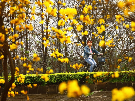 壹周美图：繁华都市，在金色春天中沉醉