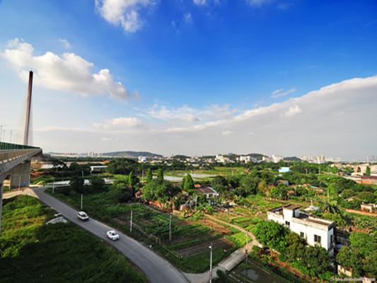 容桂特大桥上看风景