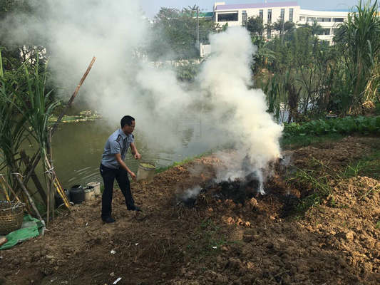 北滘环运局：严格管控露天焚烧垃圾现象