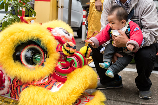 大良中区—金鸡献岁闹元宵