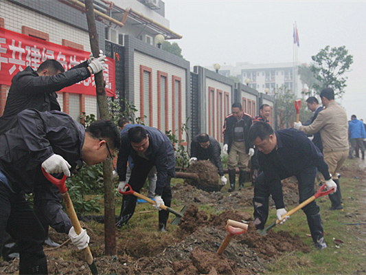 勒流：一起来植树，让城市充满绿意