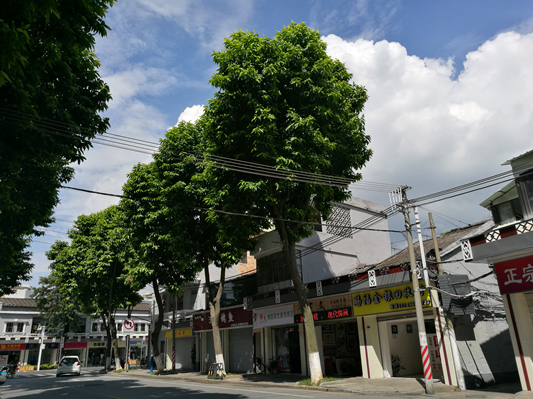 环城路“化妆”后，美呆了附近的街坊