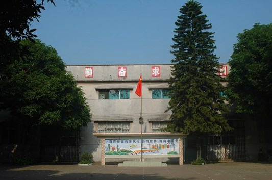 顺德杏坛光辉小学