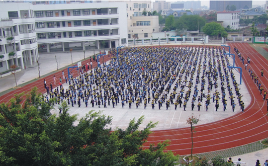 顺德容桂泰安小学图片