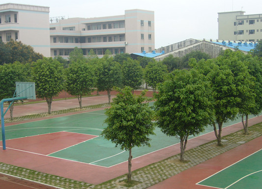 勒流中心小学图片