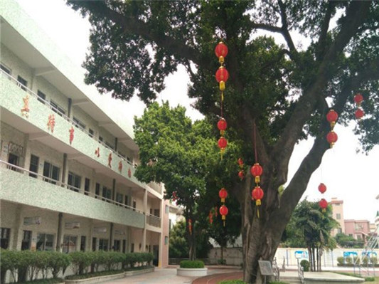 顺德伦教荔村小学