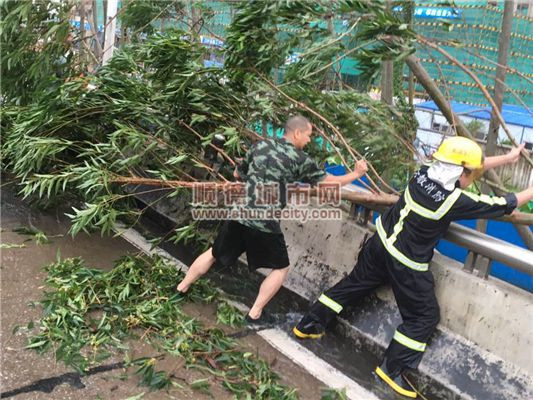 天鸽登陆，伦教全天候加强路面巡查